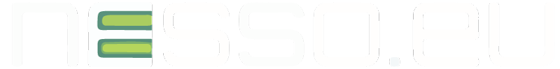 logo nesso.eu